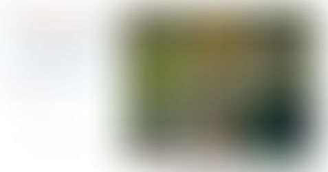 Meet The Members: Keira Thorogood