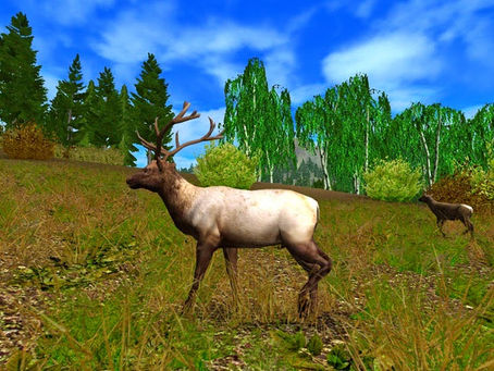 Gezginler Hunting Unlimited 2010 Crack Dosyasi Indir [2022-Latest]