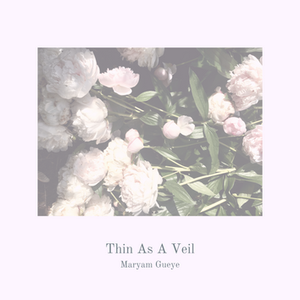 Thin As A Veil (Color Version)