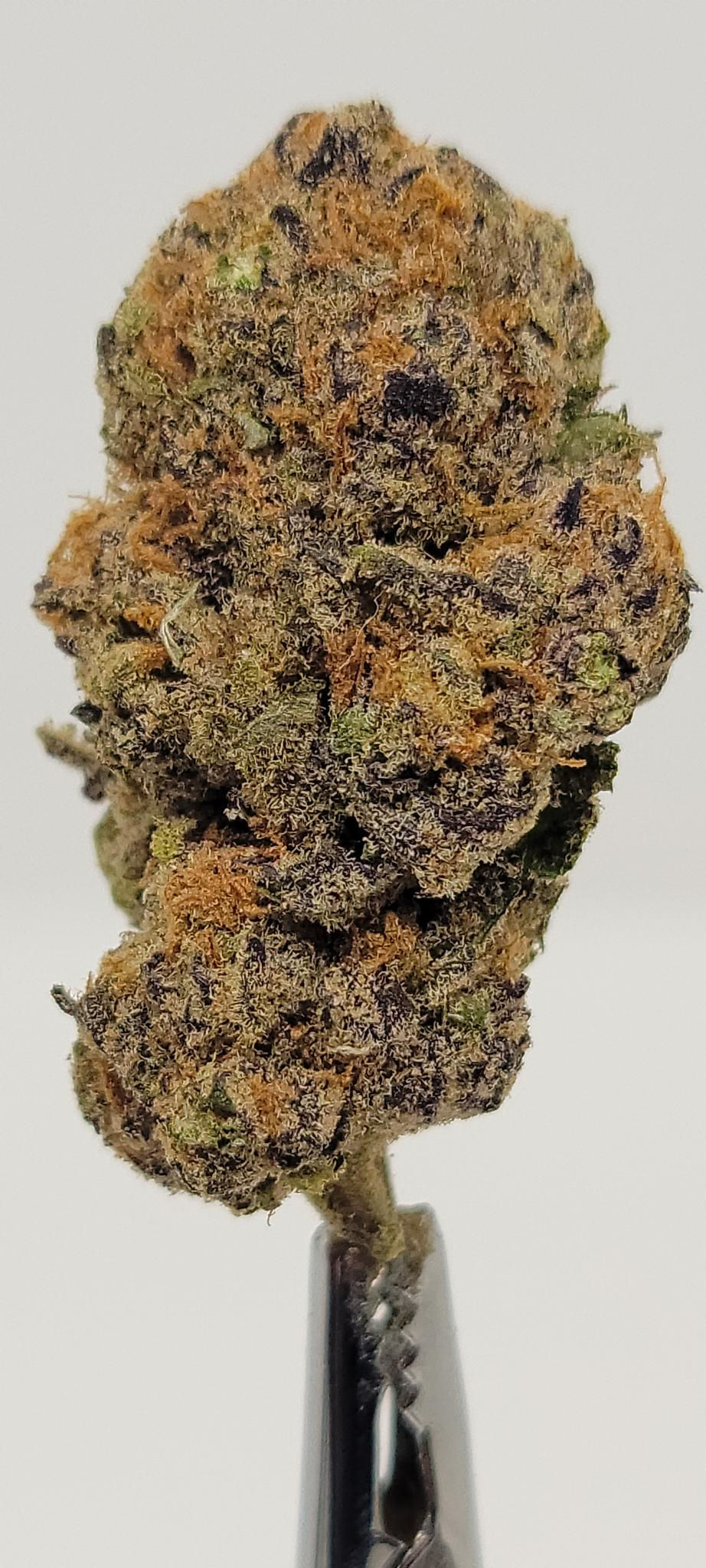 Grape Jolly Ranchers (Indica Dominant Hybrid)