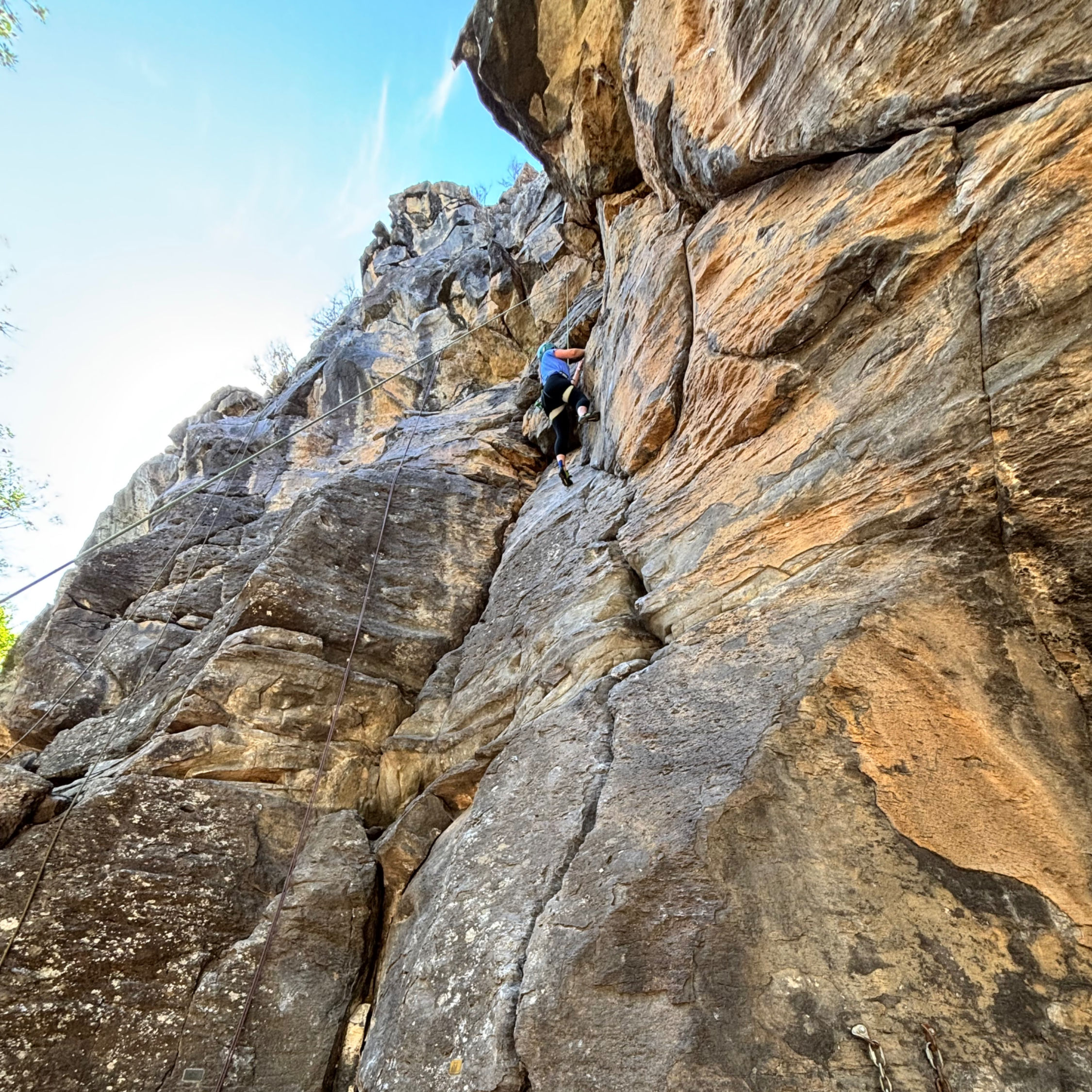 Festival Pass All Inclusive