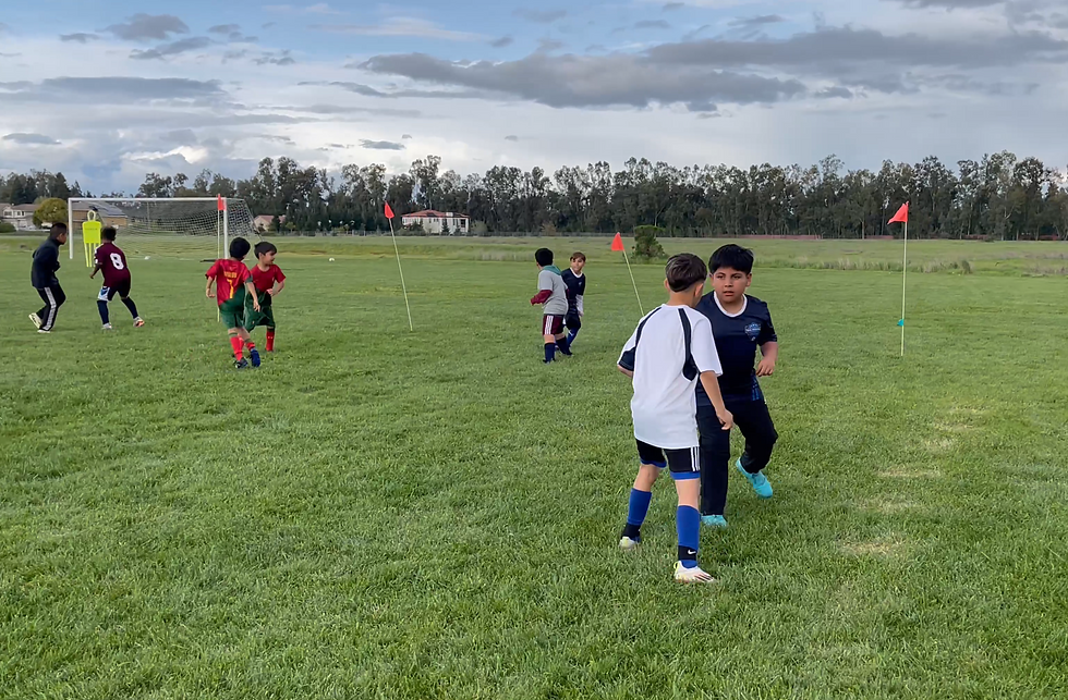 Screenshot 2026-02-24 205837.png