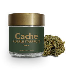 Purple Starfruit_4x-8.png