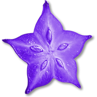 Asset 19_2x.png