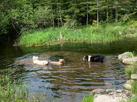 IMG_3999.jpeg