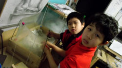 art4e_2012_0313_175020