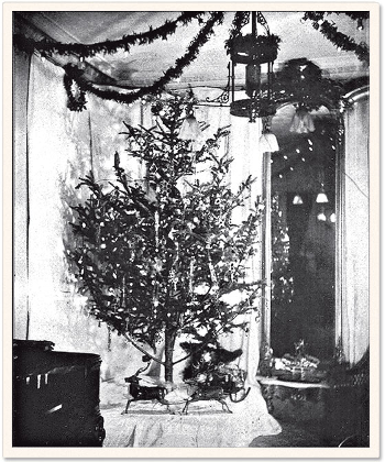 The Johnson's illuminated and revolving tree of the future