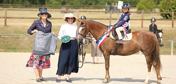 AFPCW Welsh pony section B