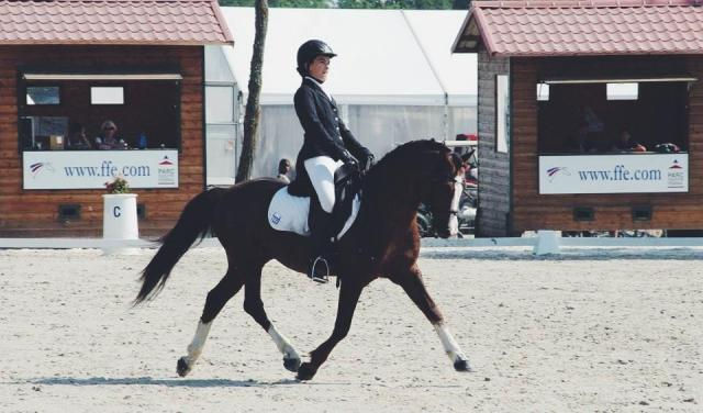 poalik kersidal (WB) - IPD 127