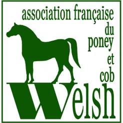 Licence étalon pour les non 

adhérents.

180,00 €