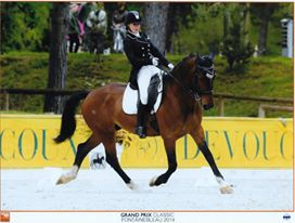 quito du falloway (WD)