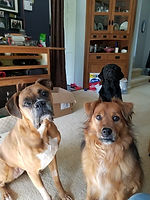 conv-attach-14030755-image.jpeg.jpeg
