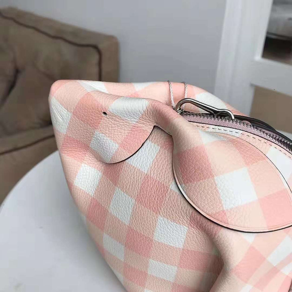 Thumbnail: Loewe 兔子包 Bunny Rabbit 格子 粉 美國代購 Gingham 2018 零錢包