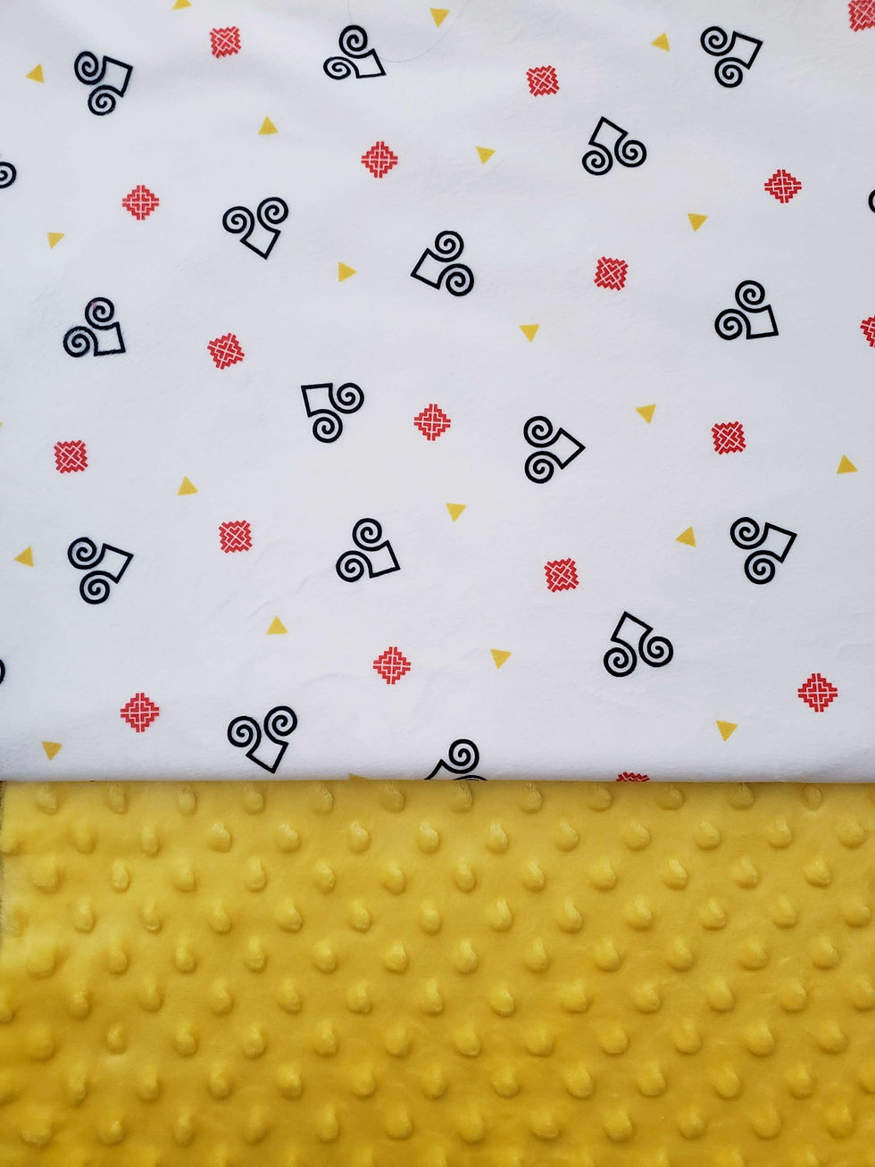 Hmong Rams Tossed RY on White Minky with Minky Dots Blanket