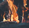 Camp Fire
