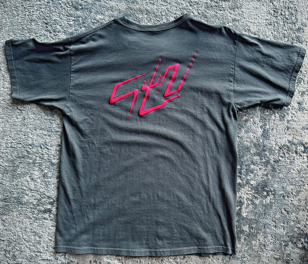 Miniatura: playera_logo_stn_01[gris]