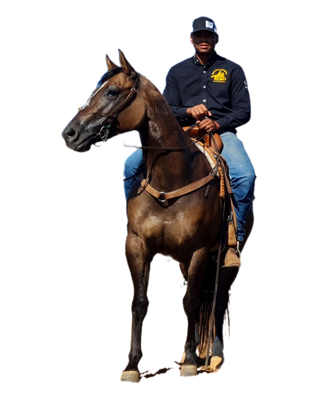 Haras VP