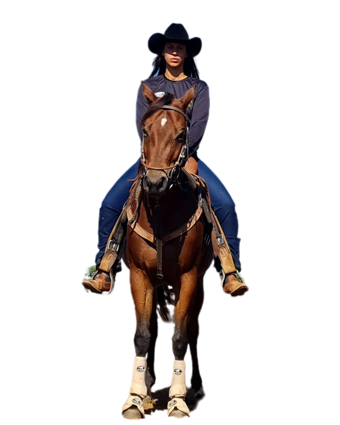 Haras VP