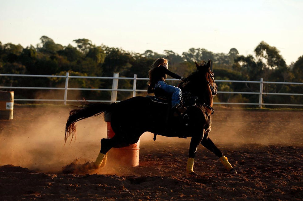 WhatsApp Image 2025-07-07 at 15.42.10 (3).jpeg