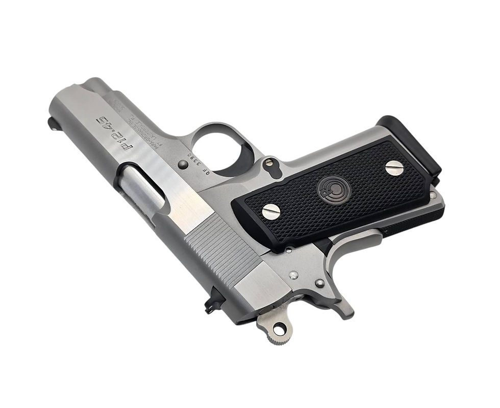 Thumbnail: PARA ORDNANCE P12 .45 3.5"