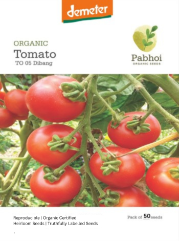 Tomato (Dibang)