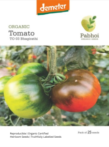 Tomato (Bhagirathi)
