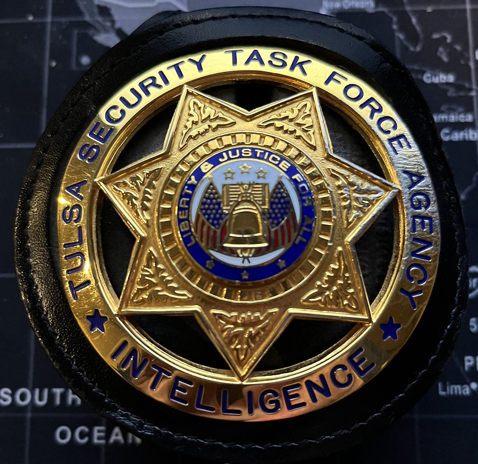 copy Security Task Force Badge.jpg