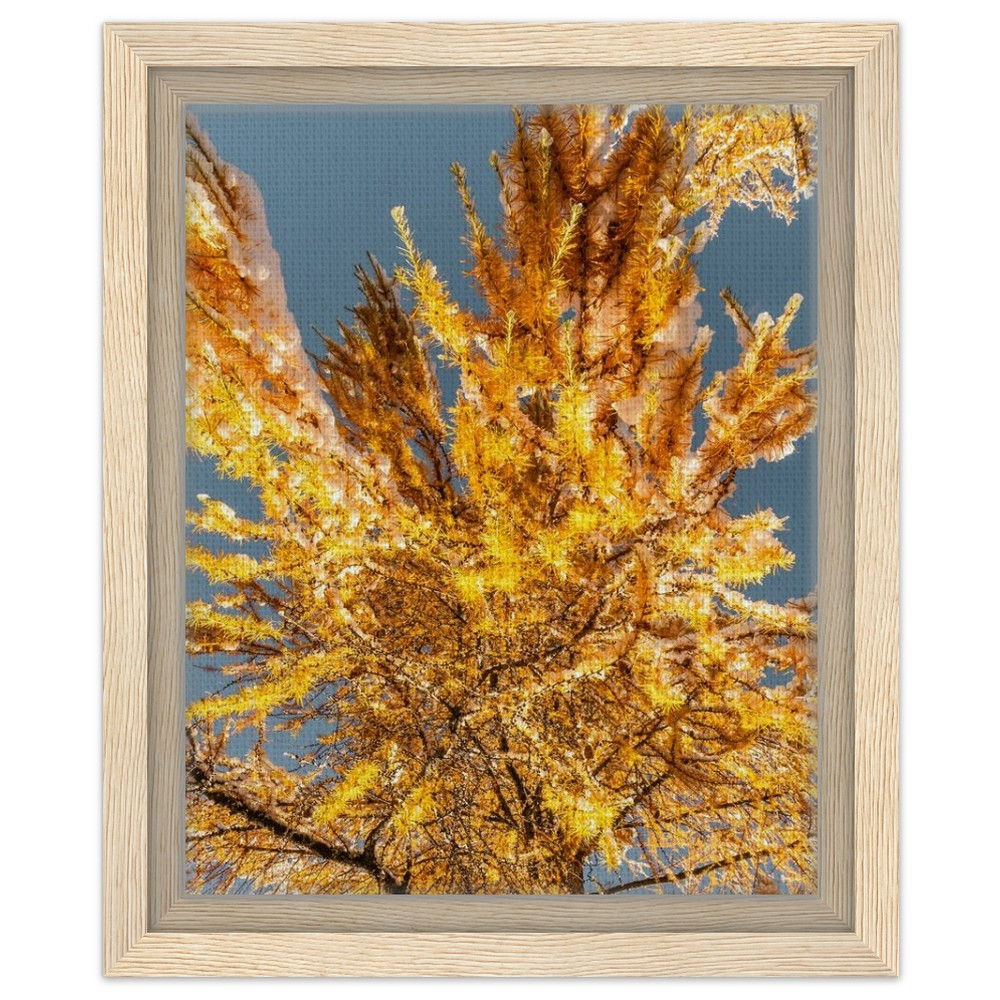 Framed Canvas 20x25 cm / 8x10″