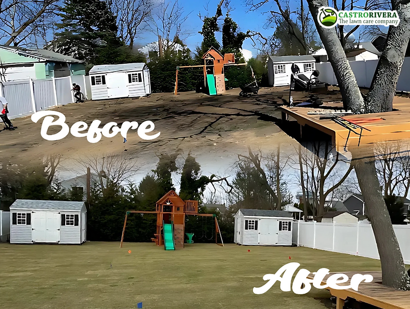Lawn transformation side-by-side image – sod installation completed by Castro Rivera Lawn Care Experts.