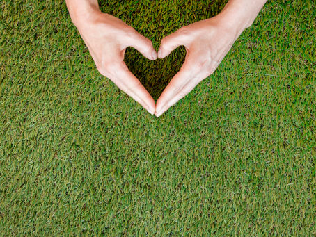 Ultimate Guide to New SOD Care in Long Island NY