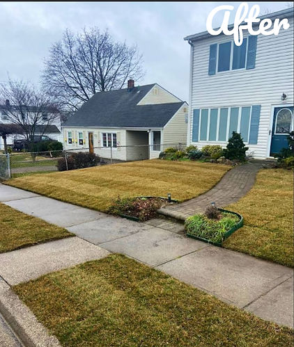 Healthy and vibrant lawn after professional sod installation service.