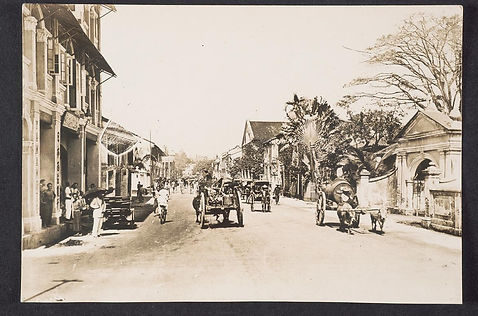 pic 3.5.jpg