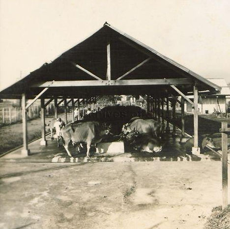 pic 3.3.jpg