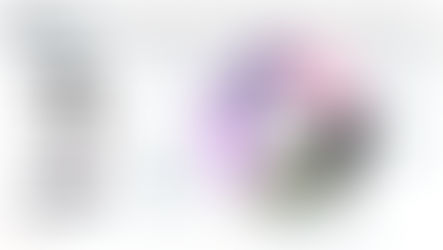 Klarna Product Offering Wheel – A circular graphic illustrating Klarna’s product suite, including BNPL services, banking, credit cards, merchant solutions, and consumer engagement tools.