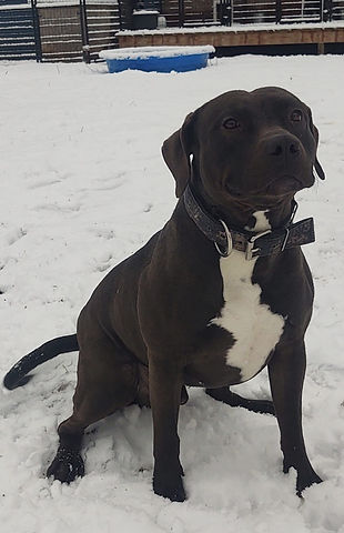 King 2023_edited_edited_edited_edited_edited.jpg