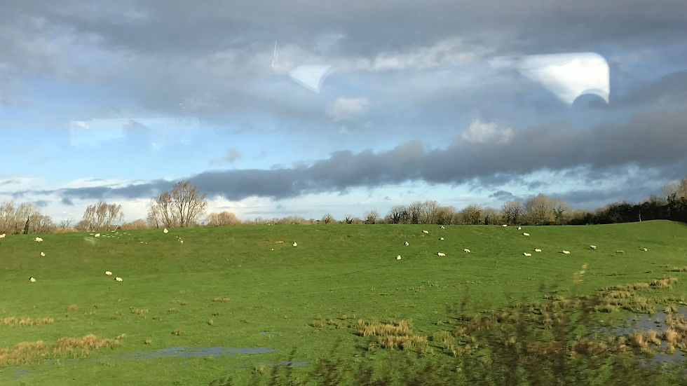 Sheep graze on a lush green hill under a cloudy sky. Reflections appear on a window surface, suggesting movement from a vehicle.