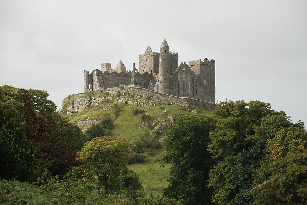 Historic castle on a grassy hilltop surrounded by trees, under a cloudy sky. The castle's stone walls and towers create a serene, majestic scene.