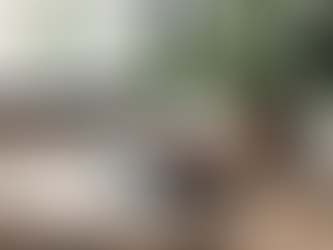 Enhance Your Yoga Practice with Flowforward's Continuing Education