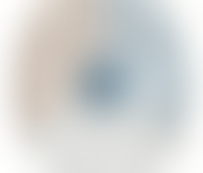 Modelo de Competências em Gestão de Projetos