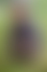 Es hat mich erfüllt und glücklich gemacht