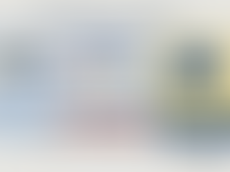     SARTHI NBFC Operations Framework: Knowledge Codification