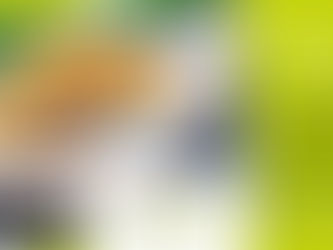 3-Gänge-Menü · 26.07.2020