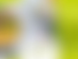 3-Gänge-Menü · 06.09.2020