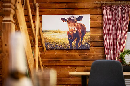 Eifel Chalet Luxus Ferienhaus