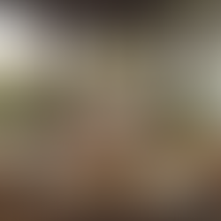 Pousada em Barreirinhas MA com café da manhã regional: conforto, localização e a melhor base para os Lençóis