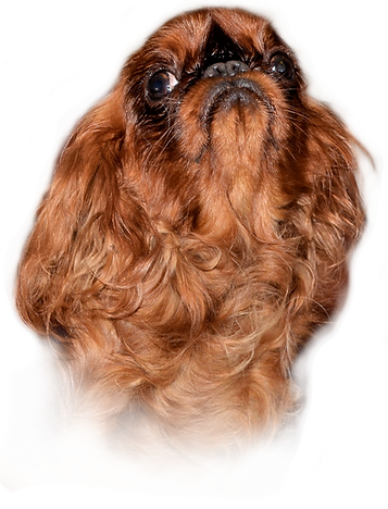 May.png
