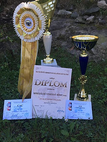 41491187_2144701712484656_39572901338955