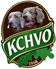 logo (1).png