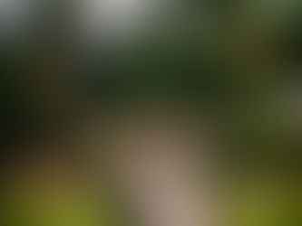 Case Studies: Navigating US and Taiwan Tax Challenges