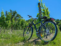 CUSSAC FORT MEDOC_BIKING.jpg